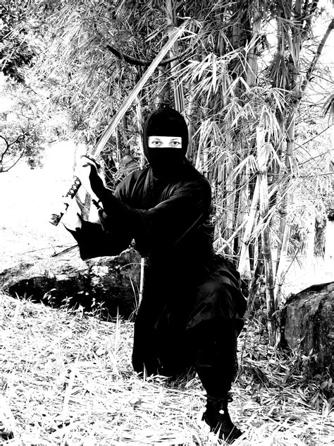 Women ninjas magical saga